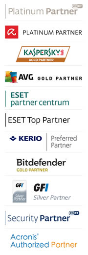 partnerství