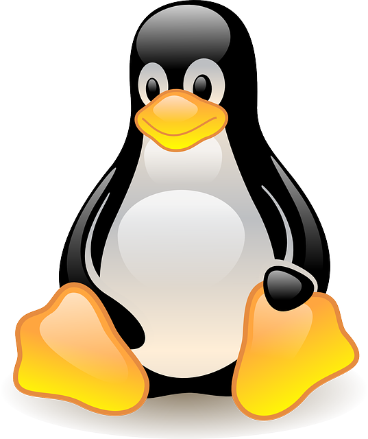 Linux