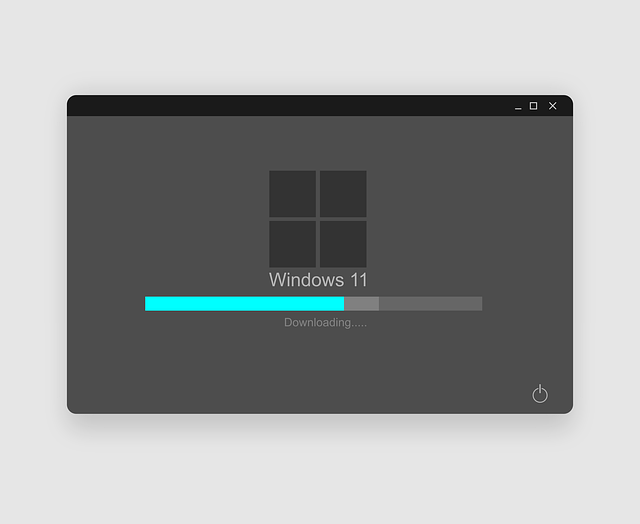 Windows 11