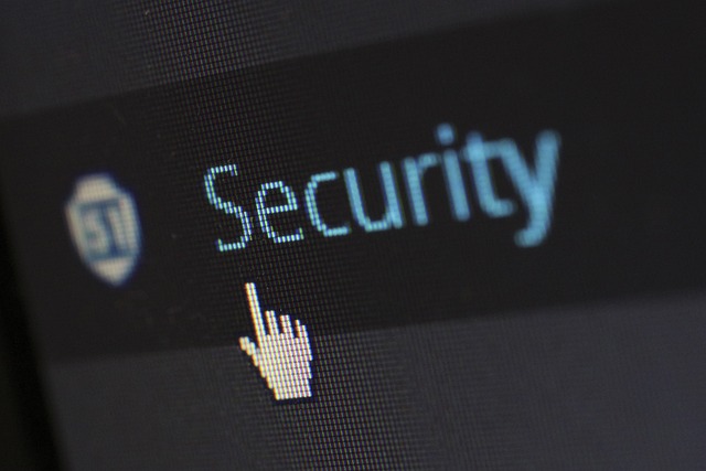 security-pointer-screen