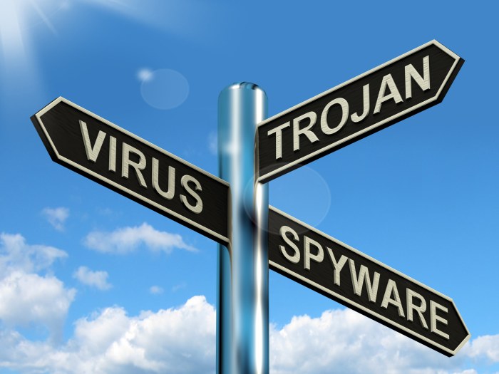 trojan, virus, spyware