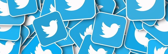sociální síť Twitter
