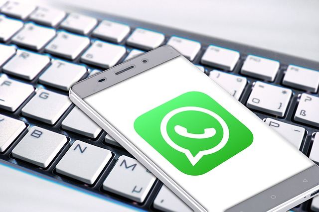 předplatné whatsapp